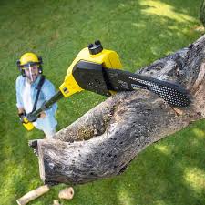 Best Grass Overseeding  in Mcalester, OK