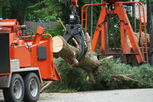 Best Lawn Dethatching  in Mcalester, OK